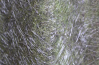 Swanbach fibreglass roof work