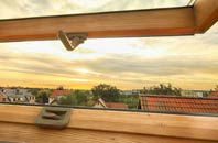 rated Swanbach roof window companies